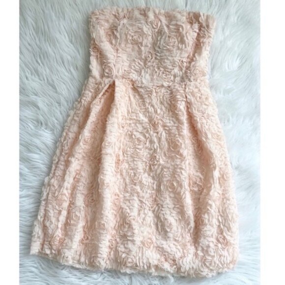 Zara Rose Appliqué Dress - Picture 2 of 3